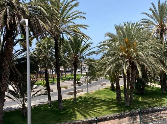 Piteras * Playa de las Américas