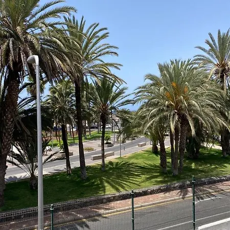 Piteras * Playa de las Américas